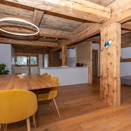 Apartment Arabba Bright Loft *